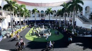 ABR Sunday Selections: Full-Card Picks for Jan. 18 at Gulfstream Park